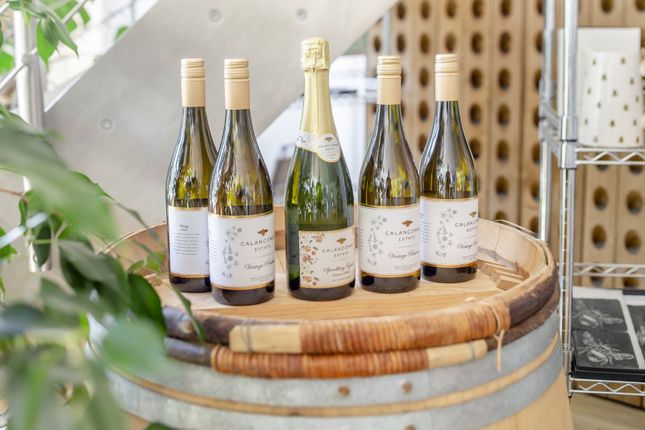 Winery
