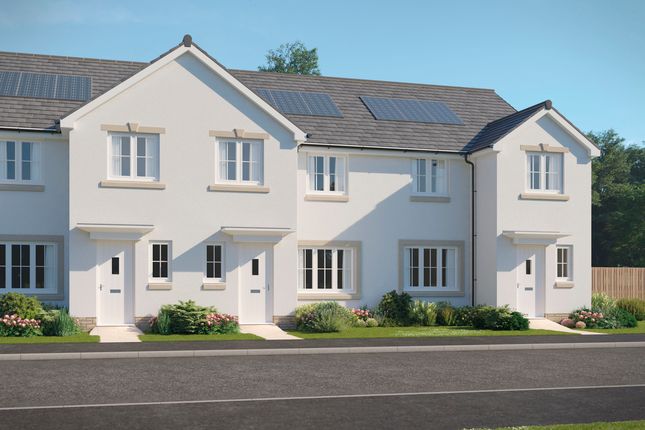 Thumbnail Terraced house for sale in "The Kinloch" at Firth Road, Auchendinny, Penicuik