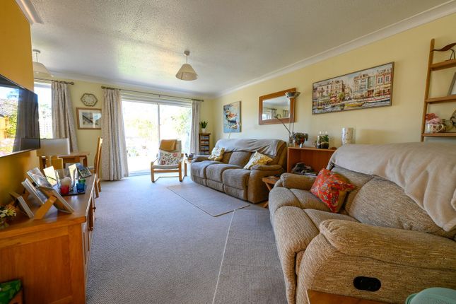 Sopwith Crescent, Wimborne photo 2