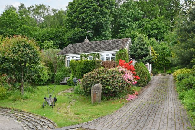 Thumbnail Detached bungalow for sale in Bank Cottage, Off Main Road, Unstone, Dronfield