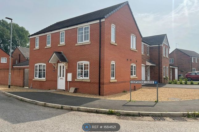 Thumbnail Detached house to rent in Hopsedge Close, Crewe