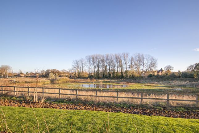 Plot 82a, The Asheldham, Meadow Gardens, Clacton-On-Sea photo 4