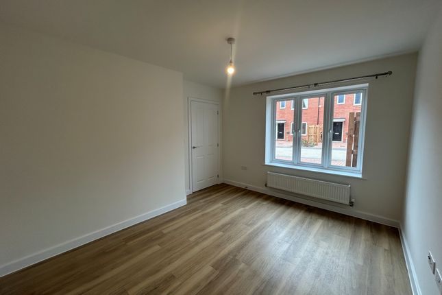 16, Birmingham photo 2