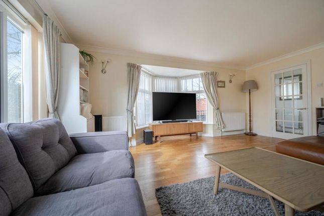 3, Colts Bay, Bognor Regis photo 3