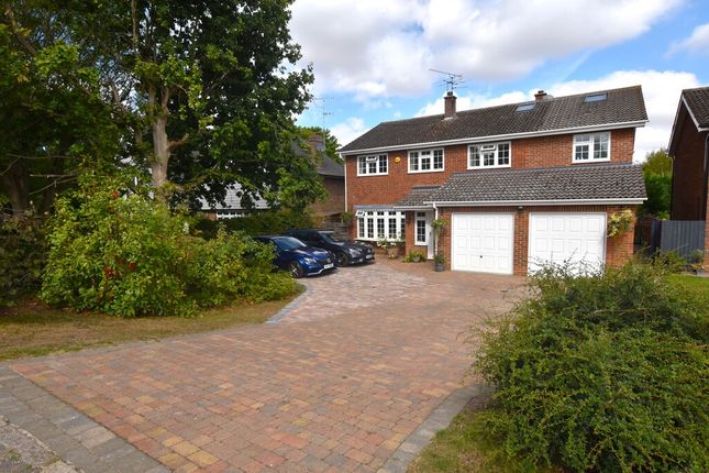 Thumbnail Detached house for sale in Causeway End Road, Felsted, Dunmow