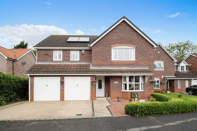 Thumbnail Detached house for sale in The Hawthorns, Long Riston, Hull, East Yorkshire