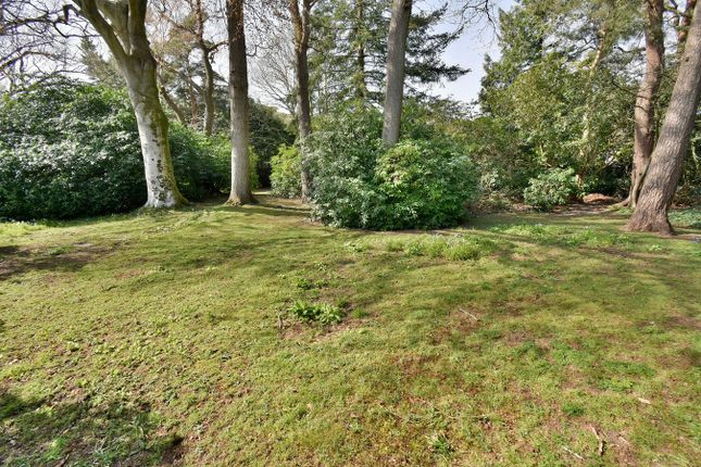 12, Martins Close, Ferndown photo 2