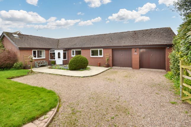 Thumbnail Detached bungalow for sale in The Lodge, Sambrook, Newport