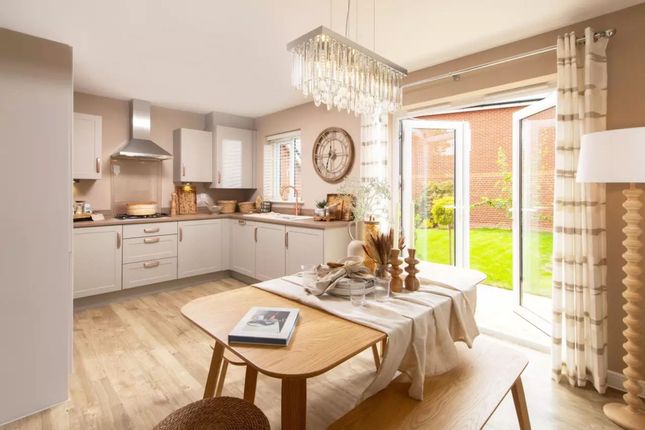 Plot 159, The Thespian, Baldwins Gate Grange, Newcastle Under Lyme photo 2