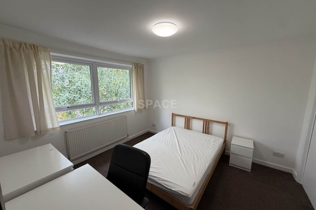 Spring Terrace Room, Reading photo 2
