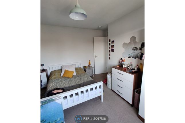 Semi-detached house to rent in Colchester, Colchester