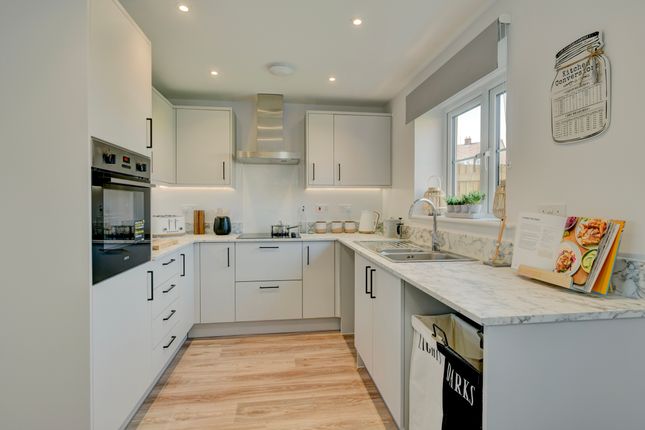 Plot 2, The Shapwick, Ilminster photo 4