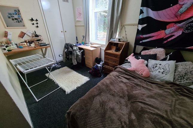 Cozy And Well-Maintained Single Bedroom Featuring ...