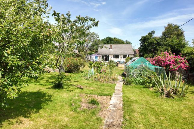 Twin Oaks, Bunkers Lane, Ventnor photo 3