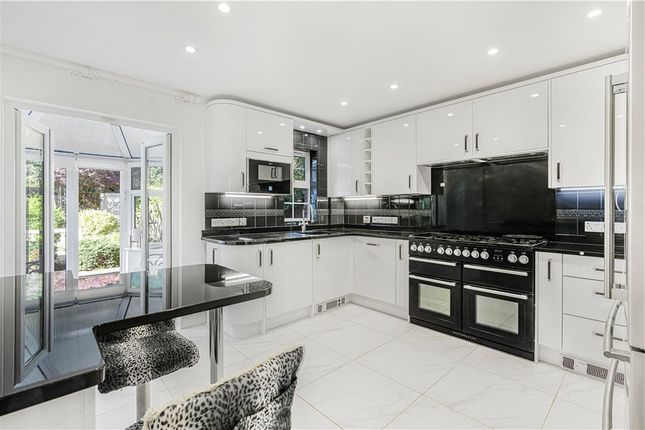 7, Ascot Wood, Ascot photo 3