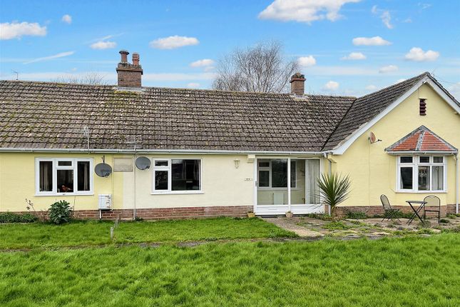 Thumbnail Terraced bungalow for sale in Orchard Avenue, Bridport
