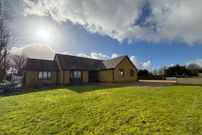 Cae Glas, Llanllwni, Pencader photo 3