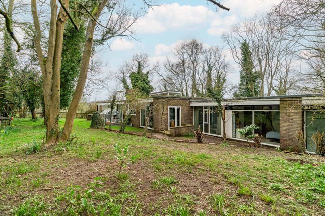 Bungalow for sale in Oldhill Wood, Studham, Dunstable, Bedfordshire
