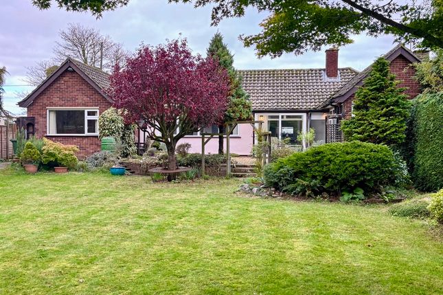 Thumbnail Detached bungalow for sale in Playford Road, Little Bealings, Woodbridge