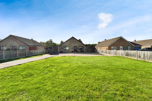 User_Edited_Photo-Fc2A13Fb_User-Edited-8E56A813-d8