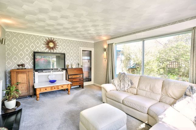 The Chateau Sandy Lane, Cromer photo 4