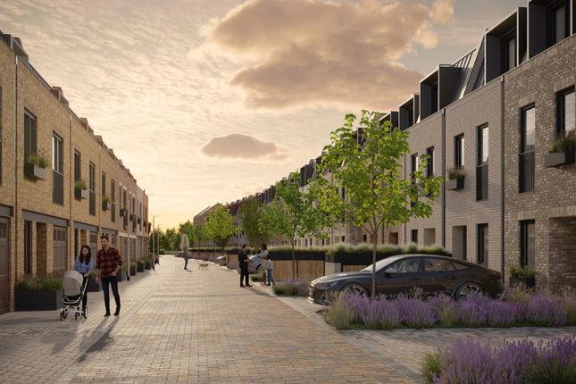 Mews House Streetscape