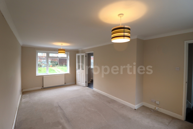 Holly Leys, Stevenage photo 3