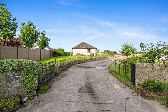 15a Pardovan Holdings, Linlithgow photo 2