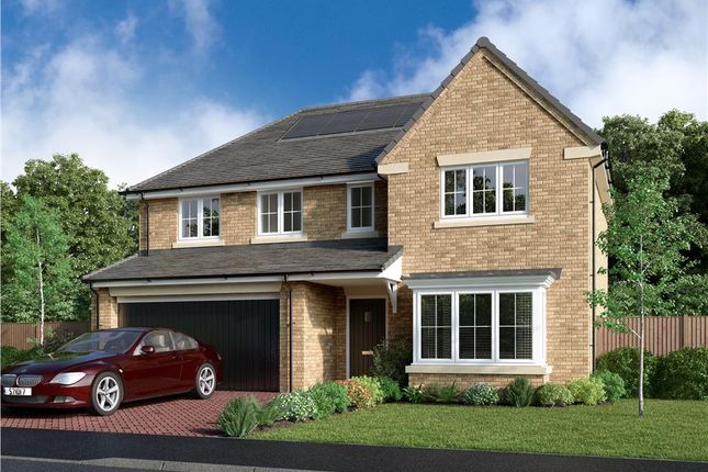 Thumbnail Detached house for sale in "The Beechford" at Flatts Lane, Normanby, Middlesbrough