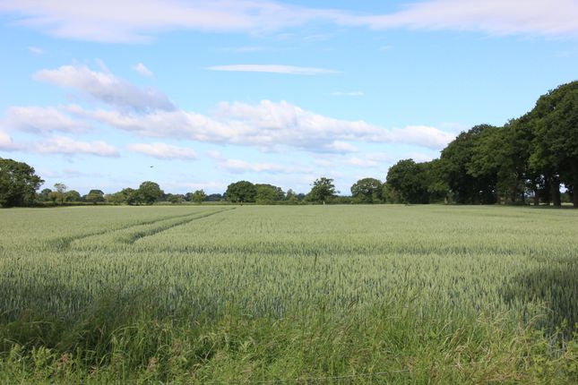 Land for sale in York Road, Easingwold, York