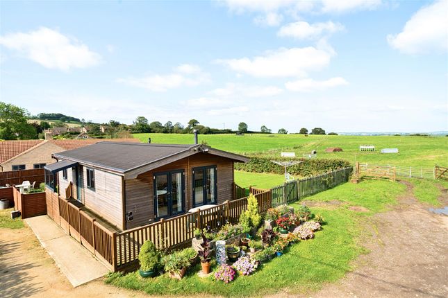 Thumbnail Mobile/park home for sale in Chedington Lane, Mosterton, Beaminster