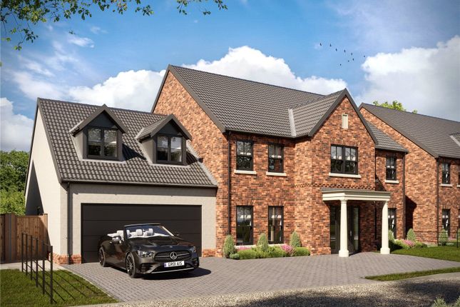 Thumbnail Detached house for sale in River House, Cecils Meadow, Acle, Norwich