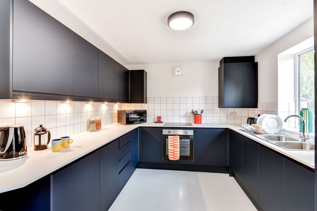 Modern Kitchen Featuring Sleek Black Cabinetry, Am...