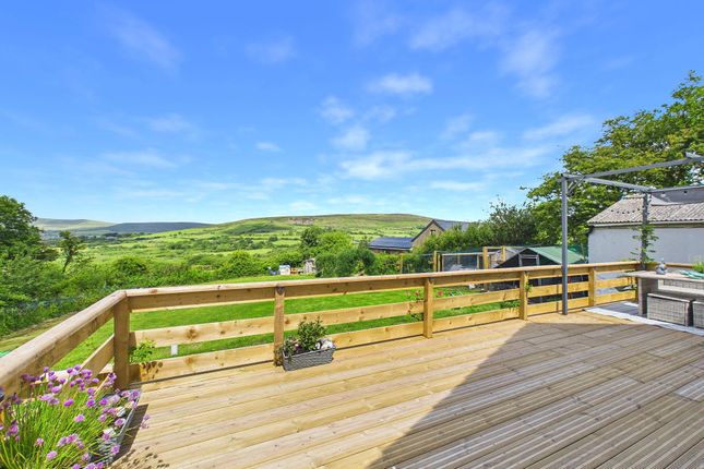 Arwel, Whitland photo 2