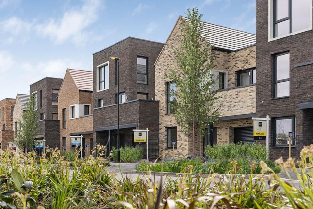 The Florey, Number 91