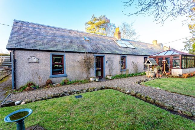 Thumbnail Cottage for sale in Guthrie Street, Letham, Angus