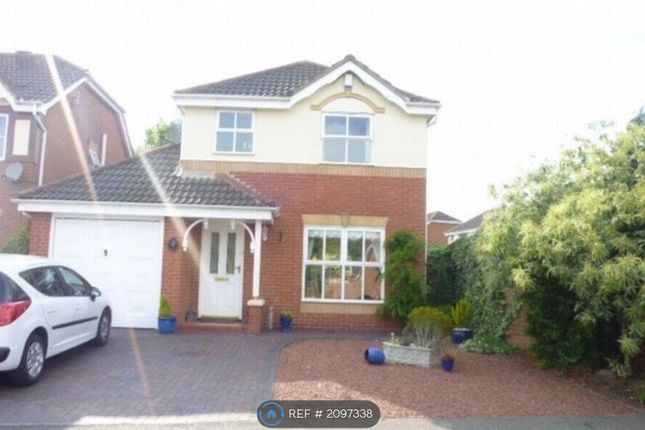 Thumbnail Detached house to rent in Shackland Drive, Derbyshire