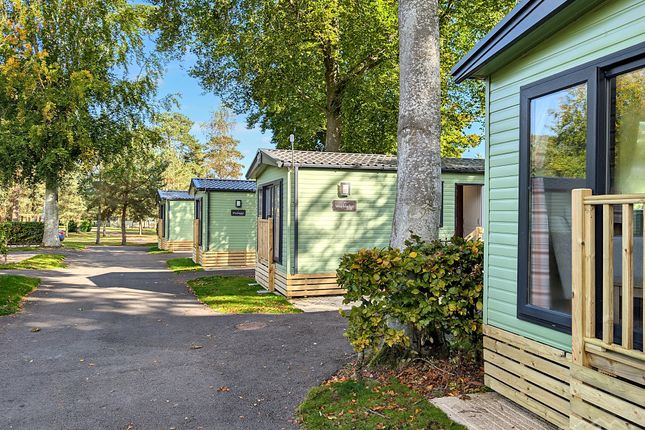 ABI Wimbledon 3 Bedroom, Lowther Holiday Park, Eamont Bridge photo 2