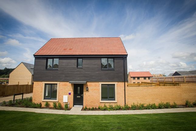 Thumbnail Detached house for sale in "The Easedale - Plot 79" at Blacknell Lane, Crewkerne