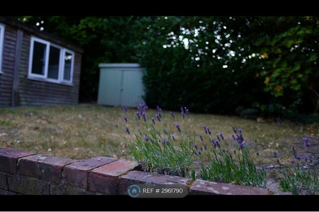 Privet Close, Lower Earley, Reading photo 2