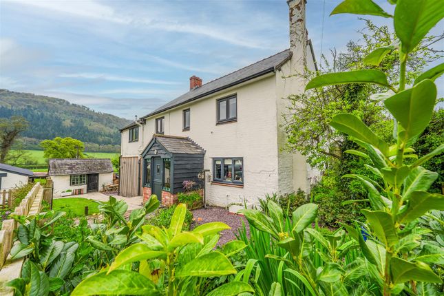 Thumbnail Property for sale in Meifod