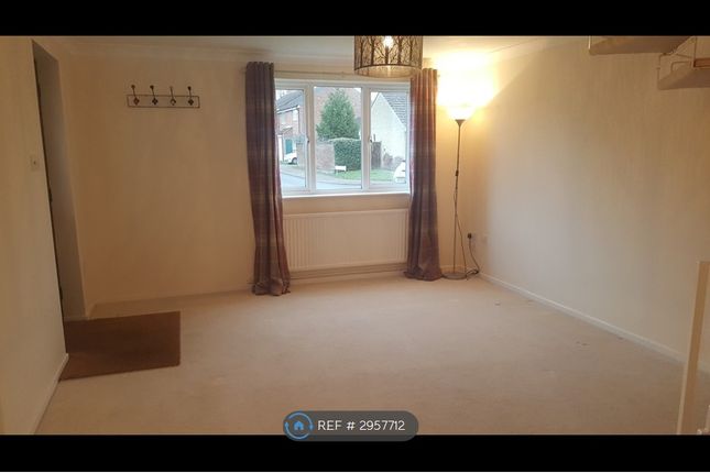 Amderley Drive, Eaton, Norwich photo 2