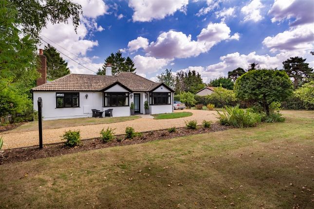 Detached bungalow for sale in Mill Street, Hastingwood, Harlow