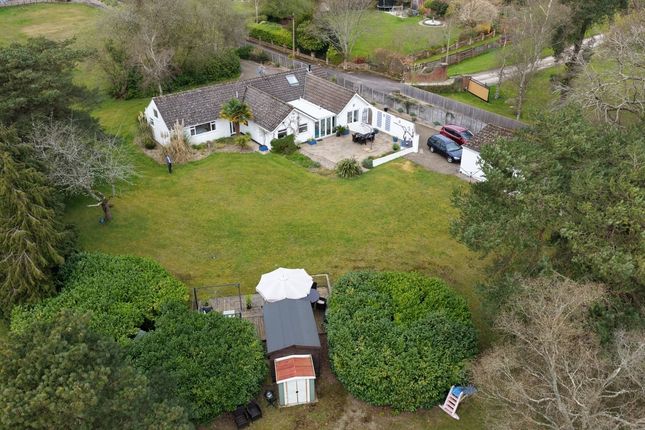 Virginia Cottage, Barrack Road, Ferndown photo 3