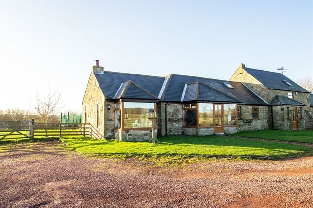 Homes For Sale In Felton Northumberland Buy Property In Felton