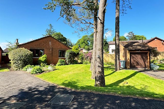 Thumbnail Bungalow for sale in Pinewood Walk, Strathaven