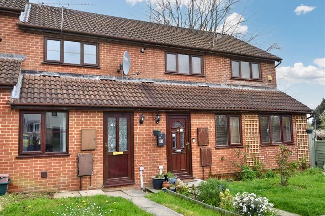 Thumbnail Terraced house for sale in Badgers Way, Sturminster Newton