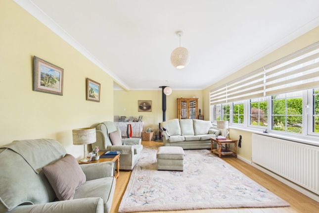 Laurens, Stable Lane, Worthing photo 2