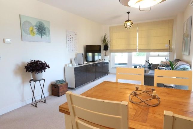 Flat to rent in Advertiser Court, 2 Telegraph Avenue, Colinadle