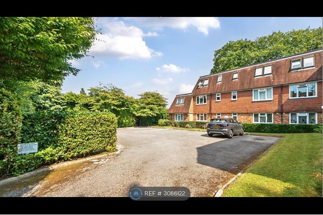Wood Road, Hindhead photo 2